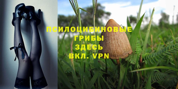 хмурый Майский