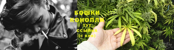 гидропоника Богданович