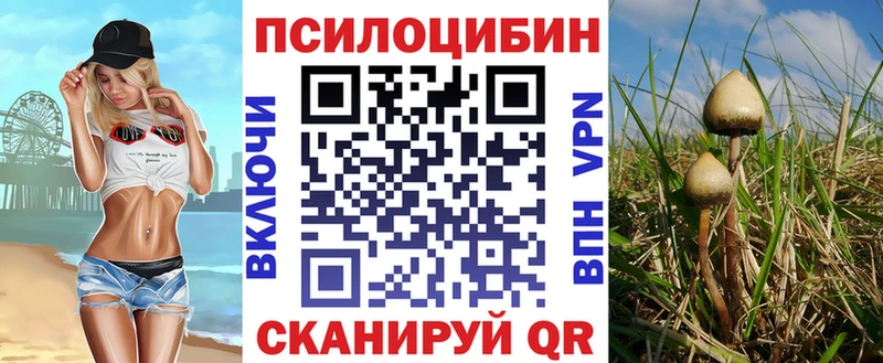 Псилоцибиновые грибы мицелий  Казань 