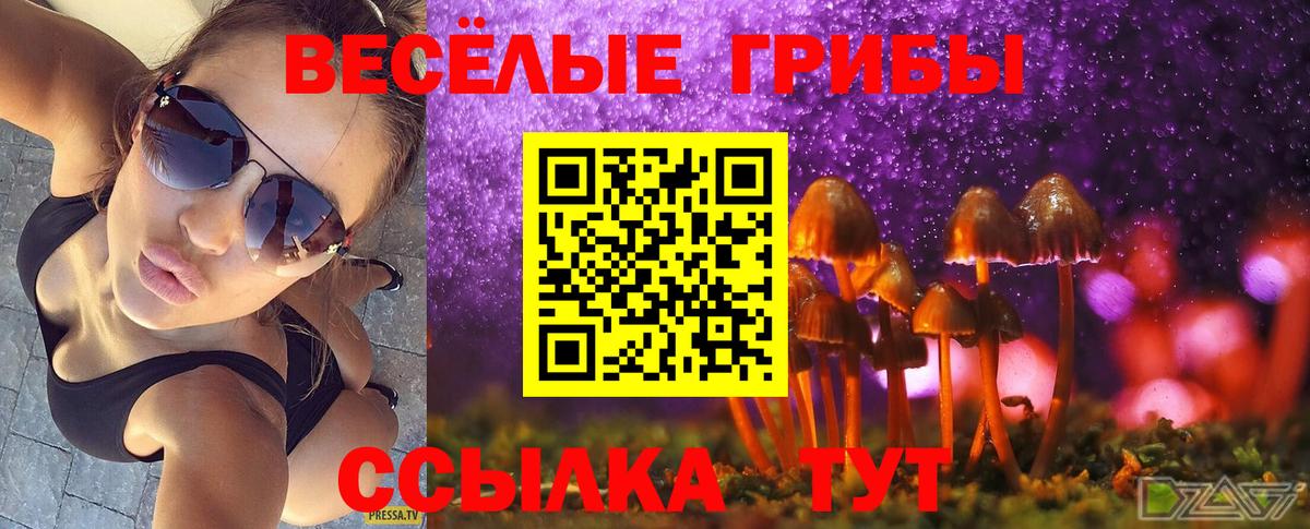 цены   Вход с VPN  Казань  Псилоцибиновые грибы мицелий  Галлюциногенные грибы прущие грибы 