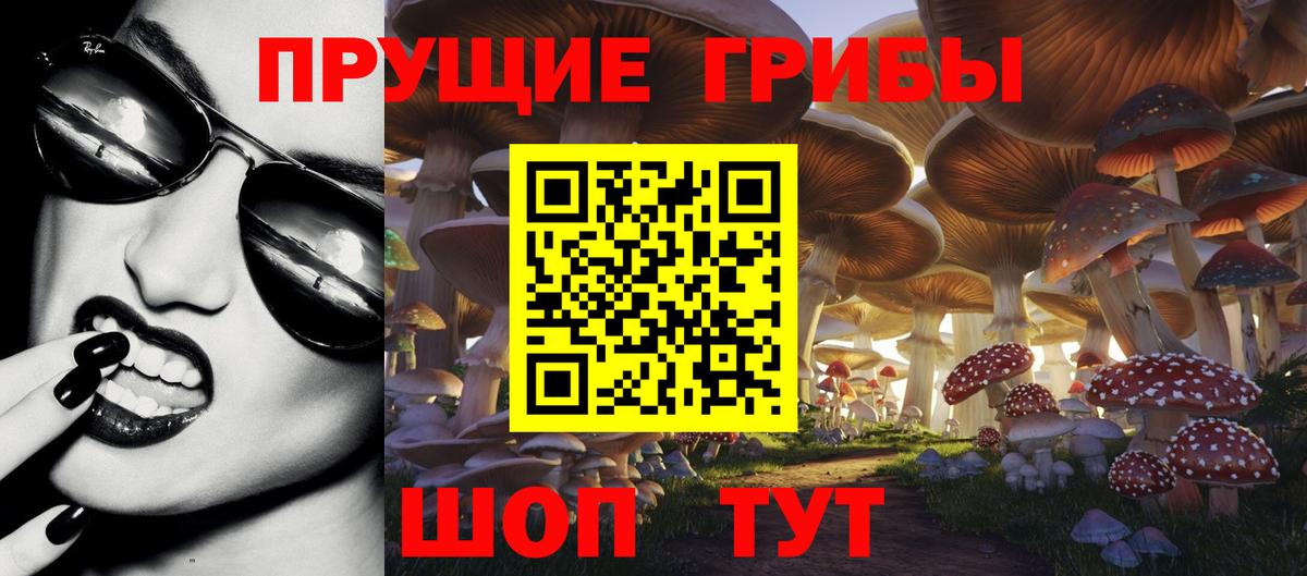 Псилоцибиновые грибы ЛСД Казань